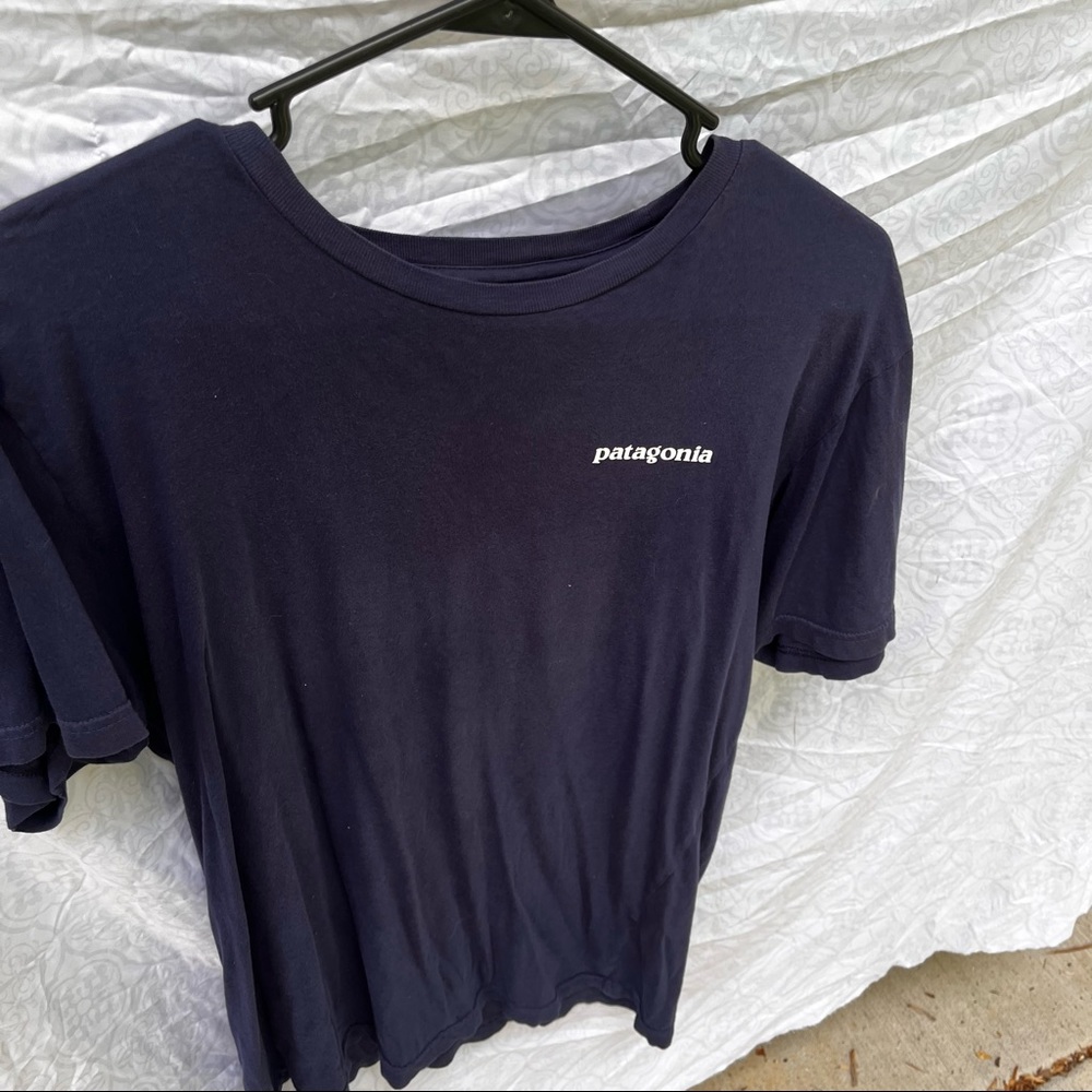 Patagonia tee shirt